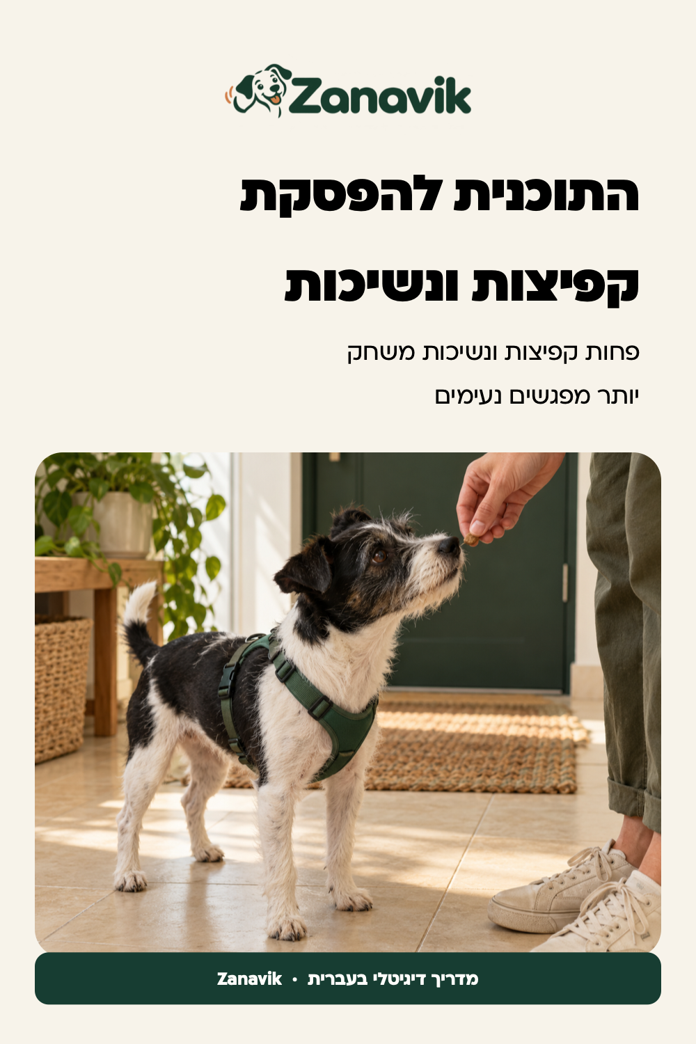 כלב עם ארבע כפות על הרצפה מקבל חיזוק ליד דלת הבית