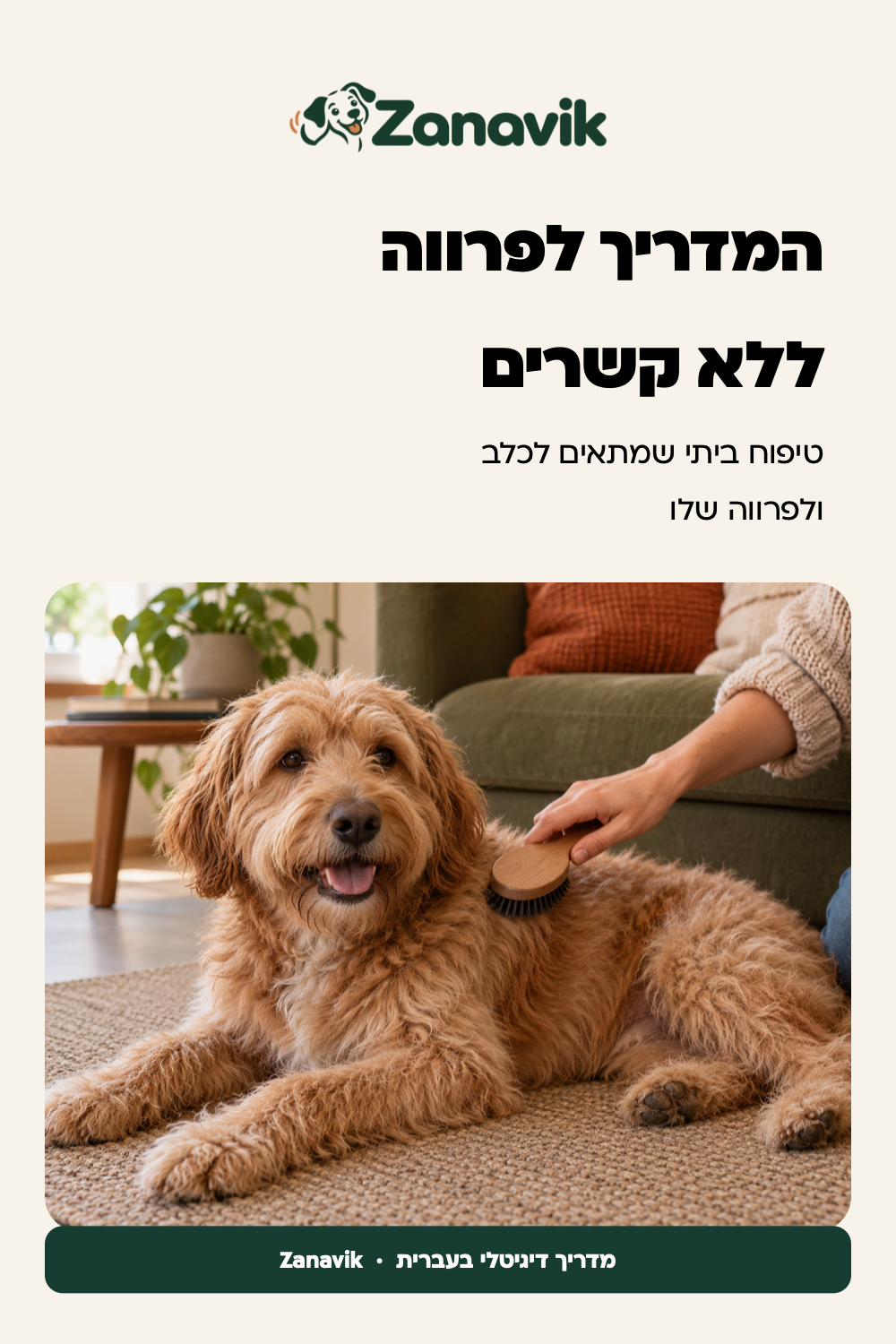 הברשה עדינה של כלב רגוע בבית