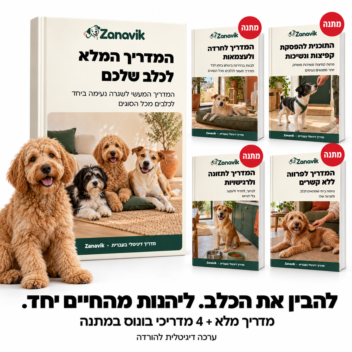 המדריך הראשי וארבעה מדריכי בונוס דיגיטליים