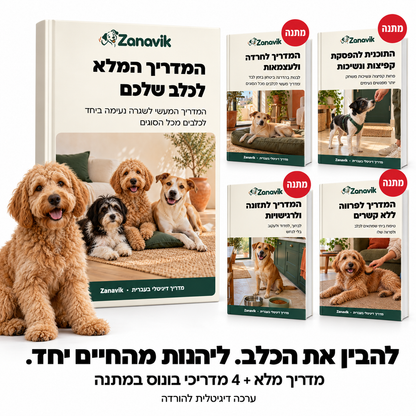 המדריך המלא לכלב שלכם