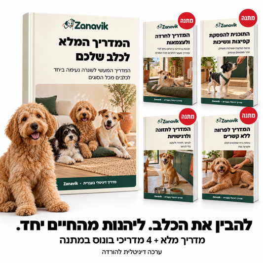 המדריך המלא לכלב שלכם