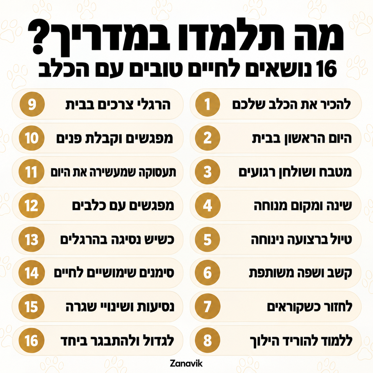 המדריך המלא לכלב שלכם