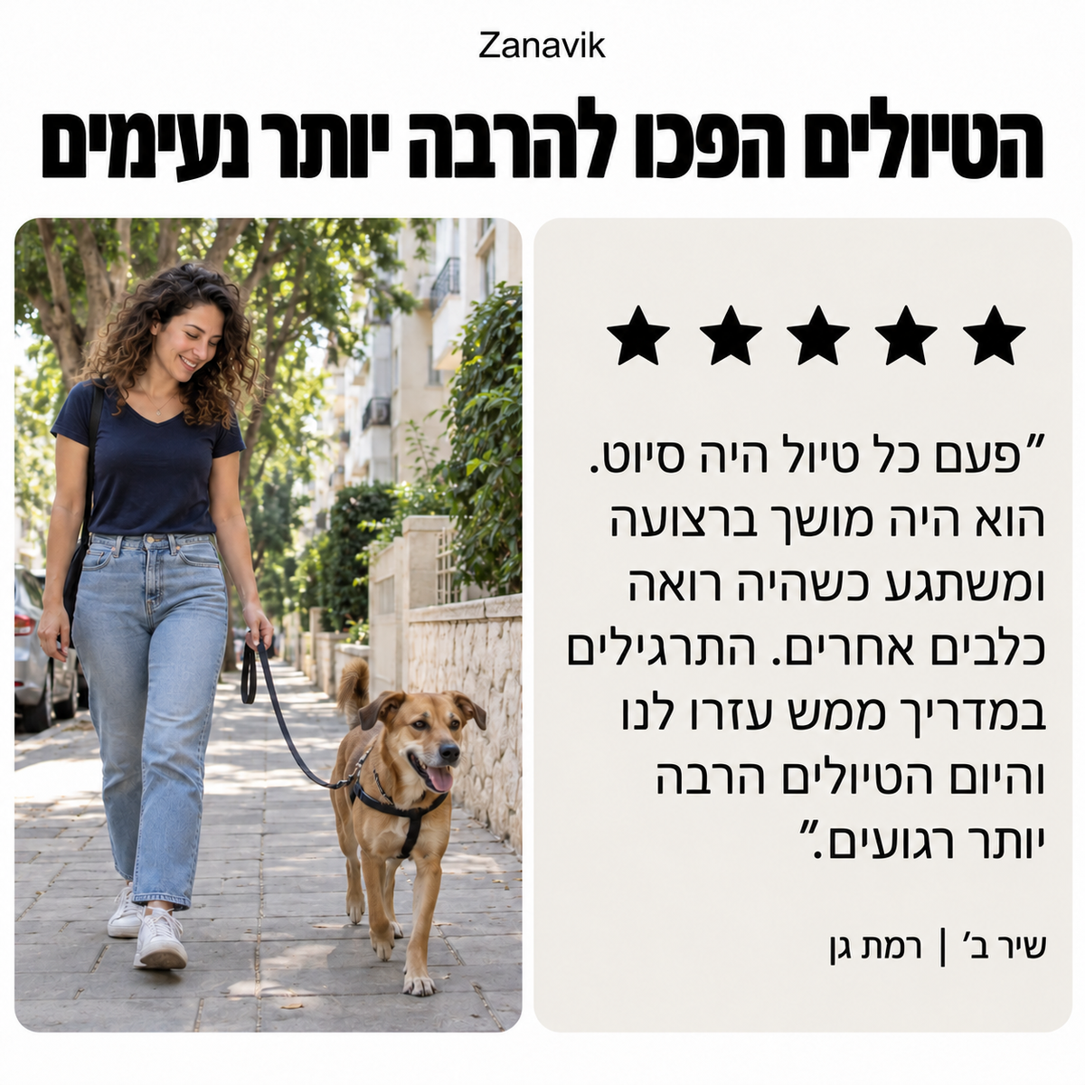 המדריך המלא לכלב שלכם