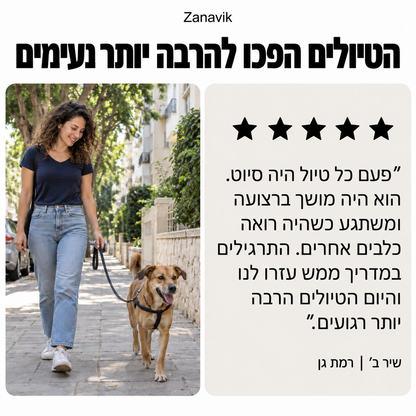 המדריך המלא לכלב שלכם