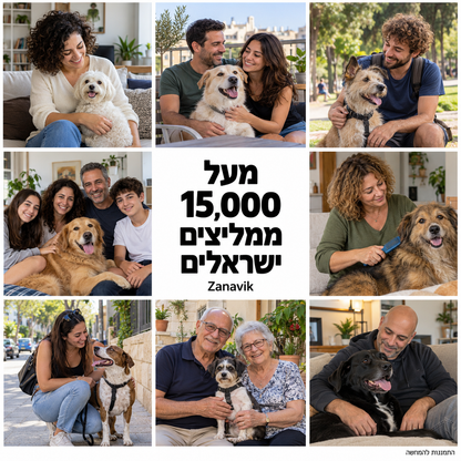 המדריך המלא לכלב שלכם