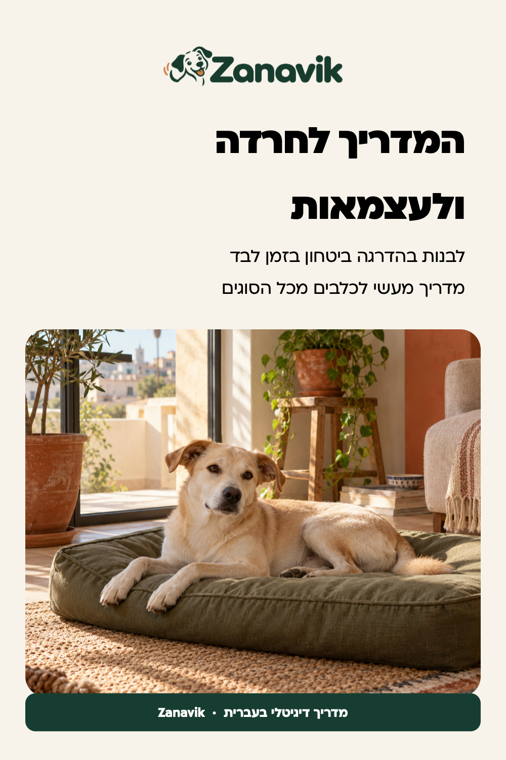 כלב נח בנחת בפינה שקטה בבית