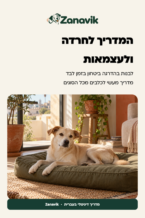 המדריך לחרדה ולעצמאות