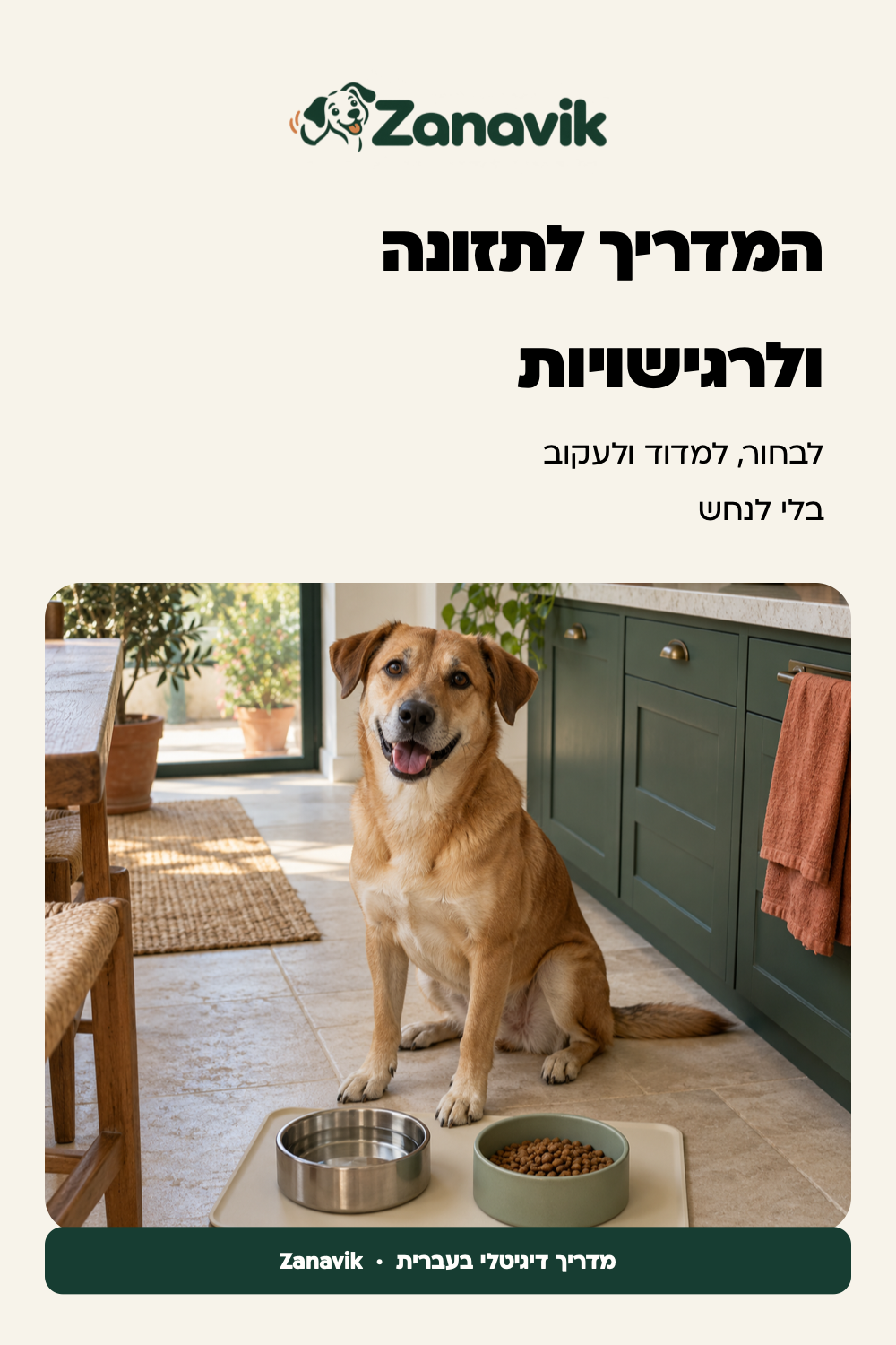 כלב לצד קערות מזון ומים בפינת האכלה מסודרת